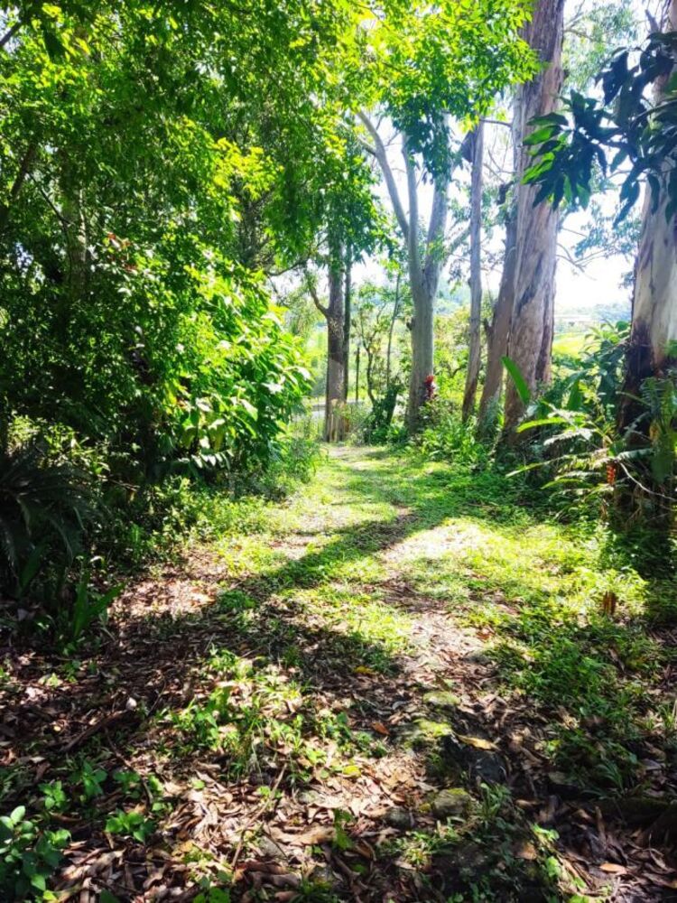 Sítio, 5 quartos, 2 hectares - Foto 5