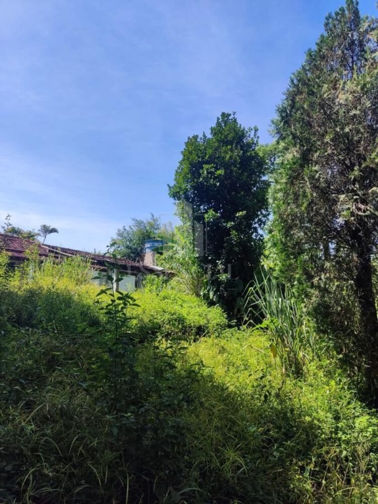 Sítio, 5 quartos, 2 hectares - Foto 9