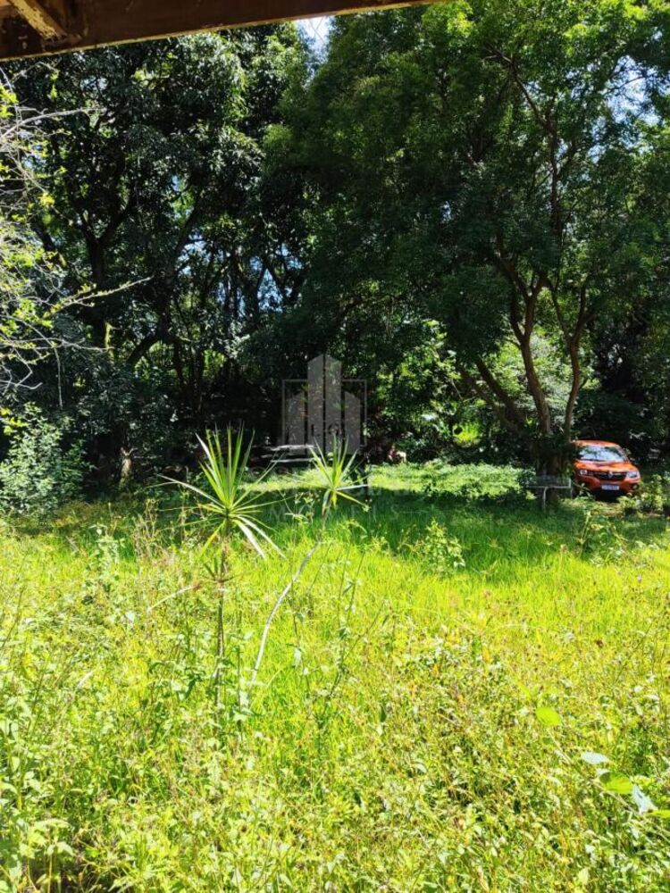 Sítio, 5 quartos, 2 hectares - Foto 6