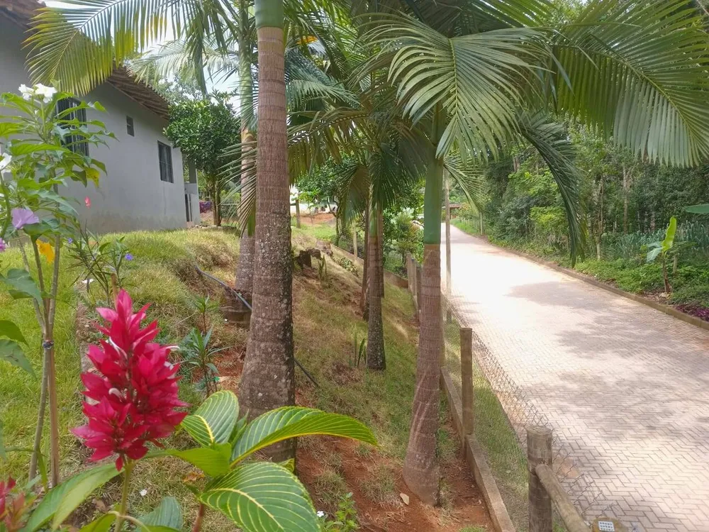 Casa, 2 quartos, 400 m² - Foto 4