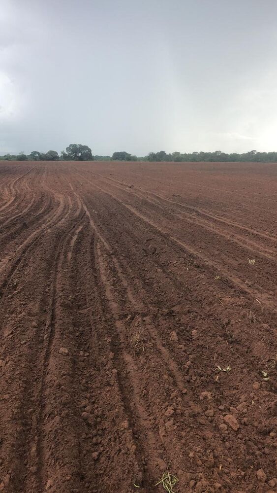 Fazenda, 890 m² - Foto 1