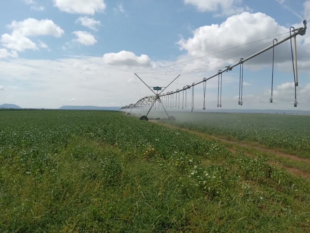 Fazenda, 890 m² - Foto 4