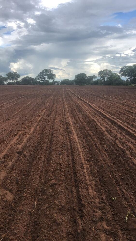 Fazenda, 890 m² - Foto 2