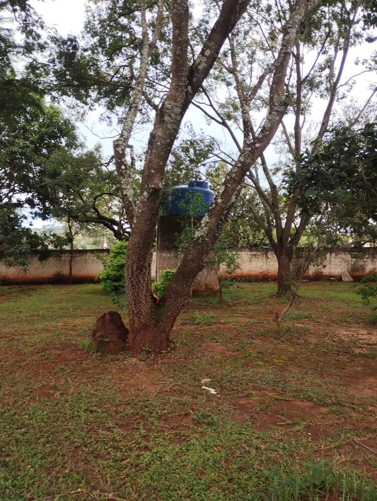 Sítio, 3 quartos, 1 hectares - Foto 7