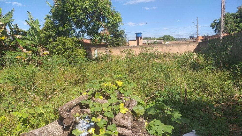 Casa, 3 quartos, 3472000 m² - Foto 3