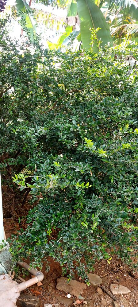 Casa, 3 quartos, 3472000 m² - Foto 8