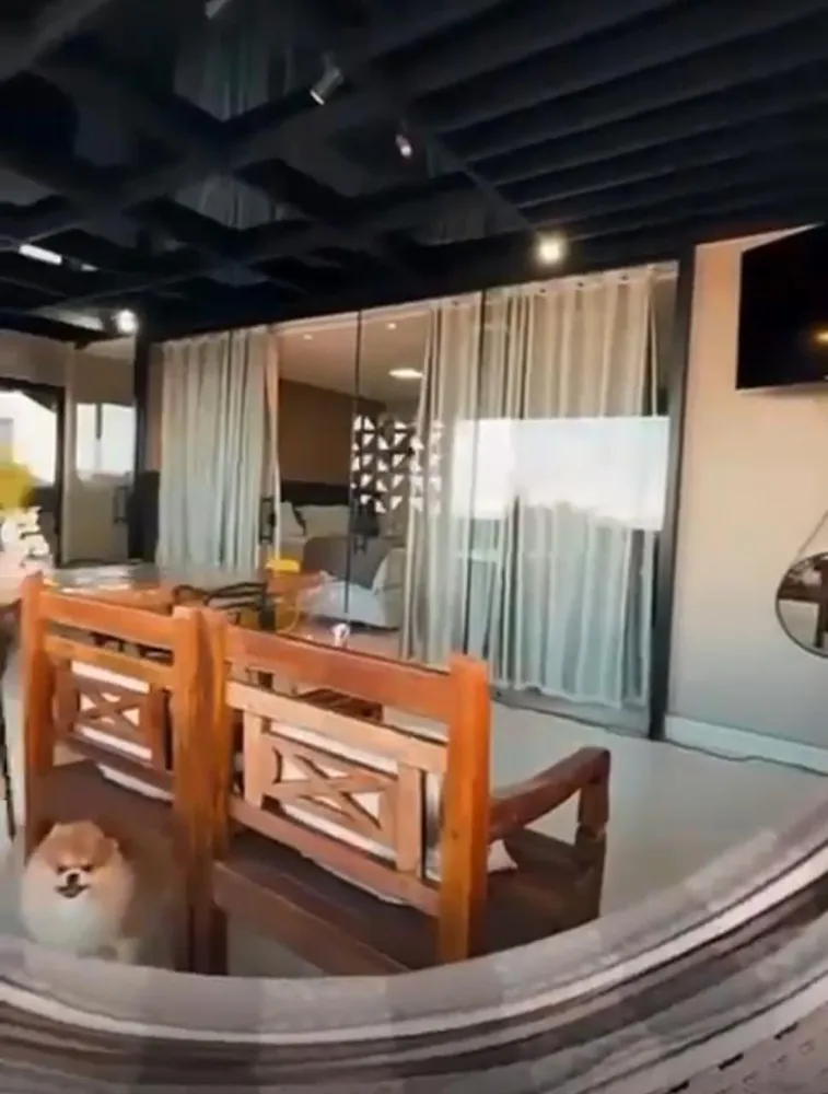 Casa, 3 quartos, 250 m² - Foto 3