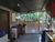 Sítio, 4 quartos, 5000 m² - Foto 11