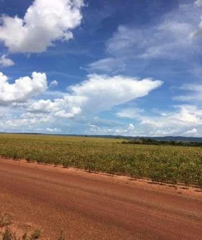 Fazenda à venda com 4 quartos, 86000m² - Foto 3