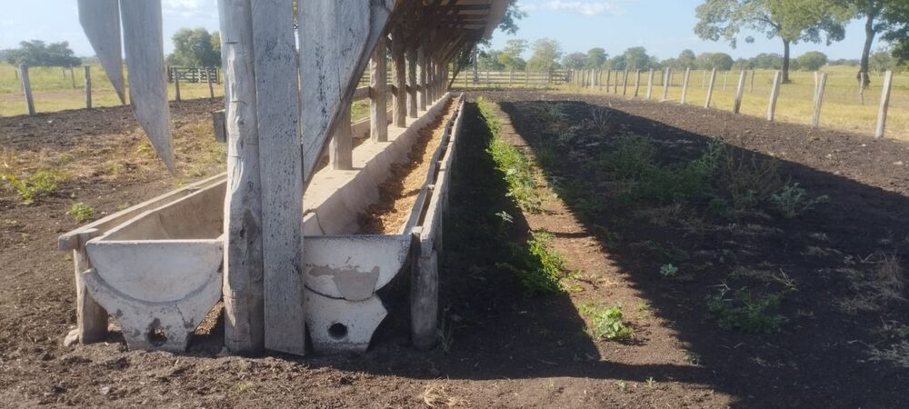 Fazenda, 740 m² - Foto 2