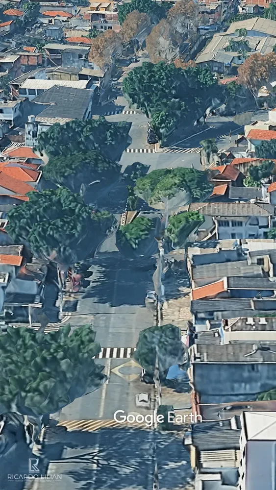 Casa, 10 quartos, 640 m² - Foto 5