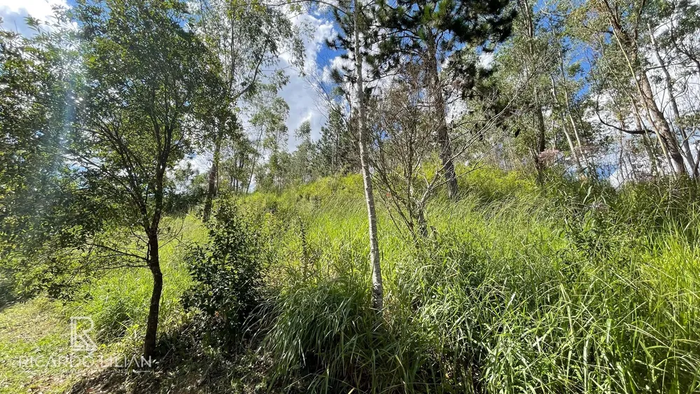 Terreno, 1232 m² - Foto 5