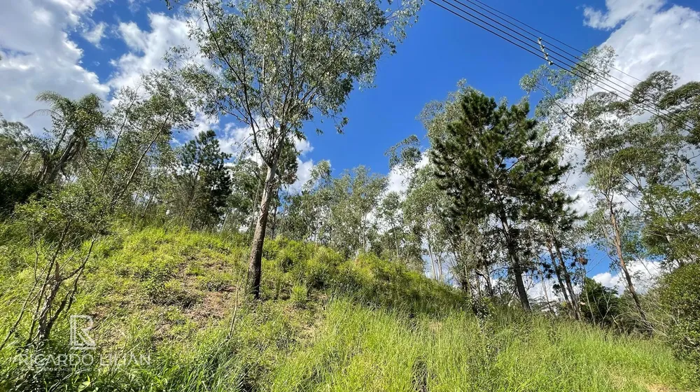 Terreno, 1232 m² - Foto 10