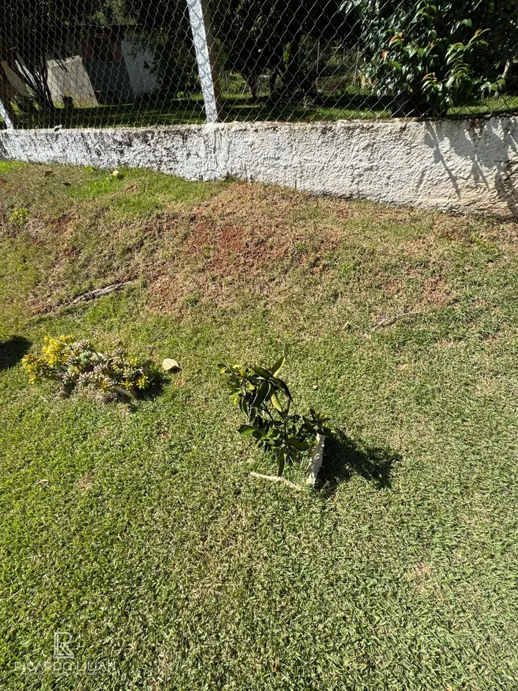 Chácara, 3 quartos, 1100 m² - Foto 3