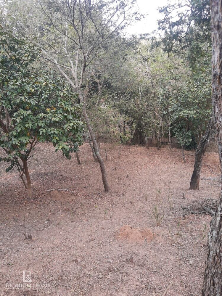 Terreno à venda, 3360m² - Foto 2