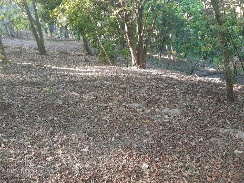 Terreno, 3360 m² - Foto 9