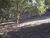Terreno, 3360 m² - Foto 1