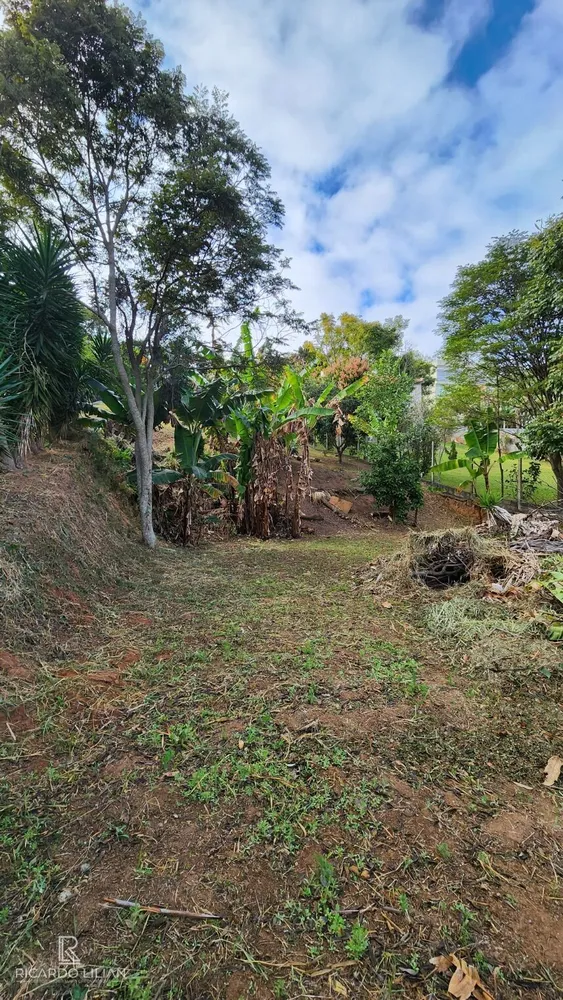 Chácara, 4 quartos, 2000 m² - Foto 6