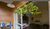 Apartamento, 1 quarto, 82 m² - Foto 1