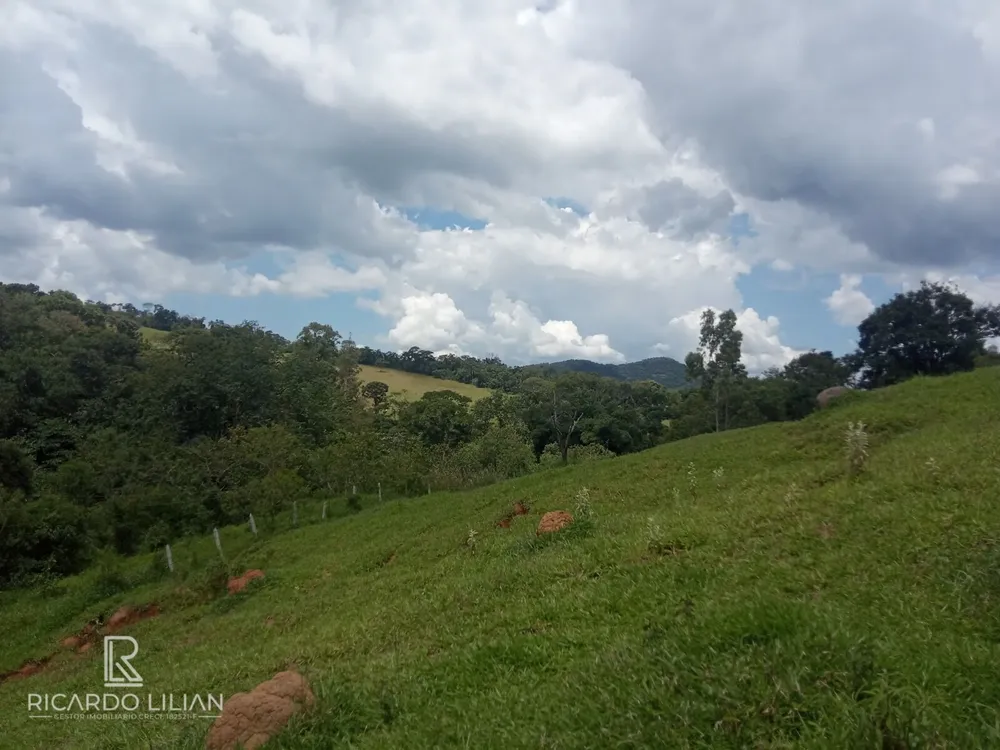 Terreno, 7 hectares - Foto 4