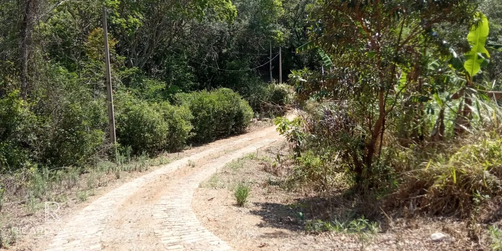 Terreno, 7 hectares - Foto 3
