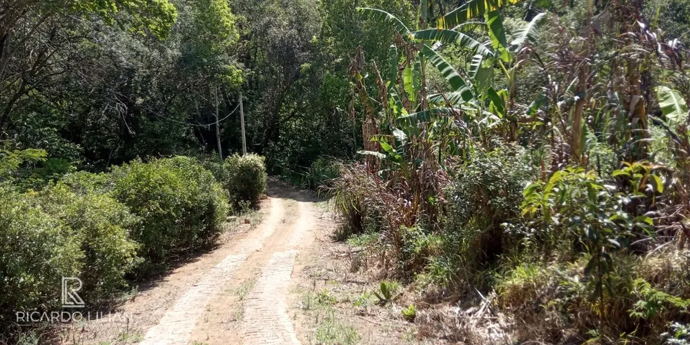Terreno, 7 hectares - Foto 2