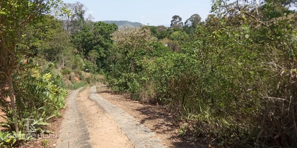 Terreno, 7 hectares - Foto 1