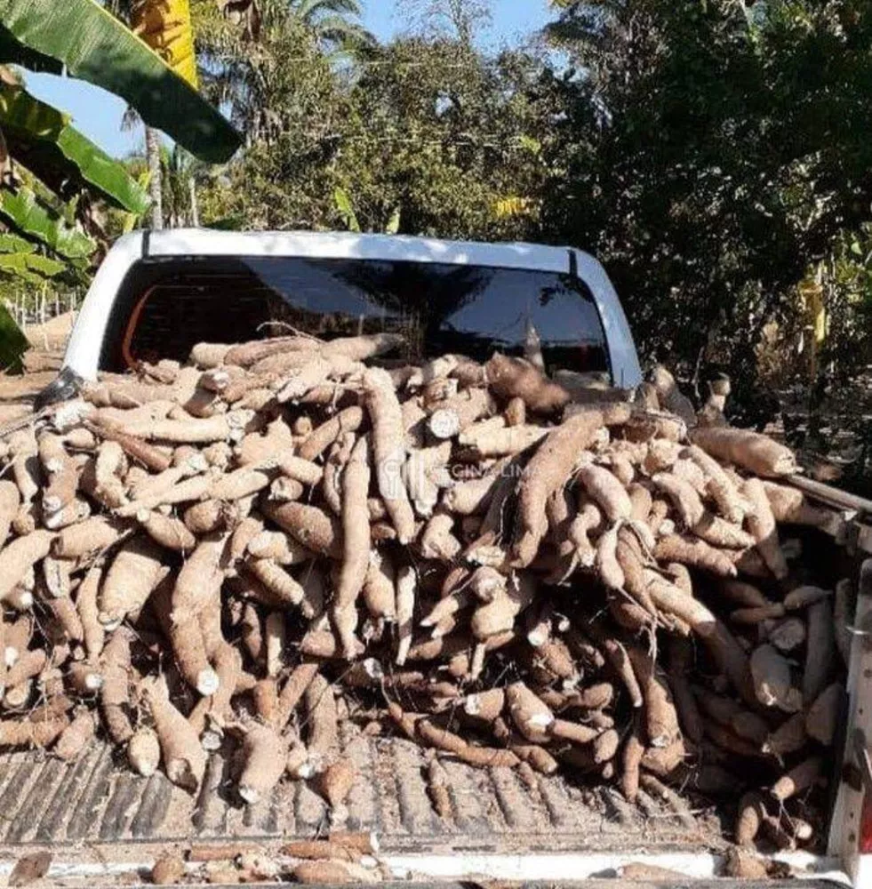 Fazenda, 90 hectares - Foto 6