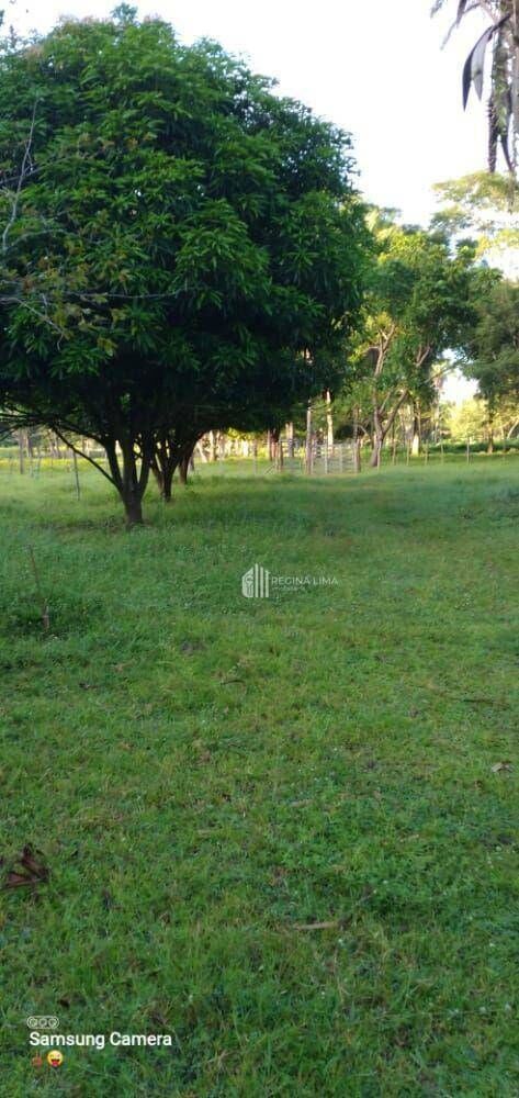 Chácara, 20 hectares - Foto 4