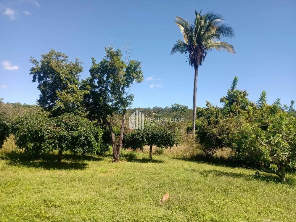 Chácara, 6 quartos, 2 hectares - Foto 3