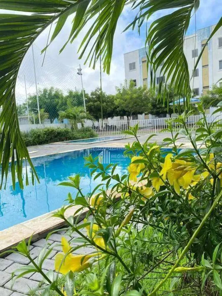 Apartamento - Foto 8