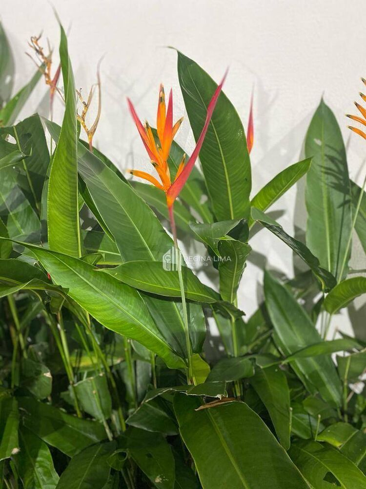 Casa, 4 quartos, 168 m² - Foto 11