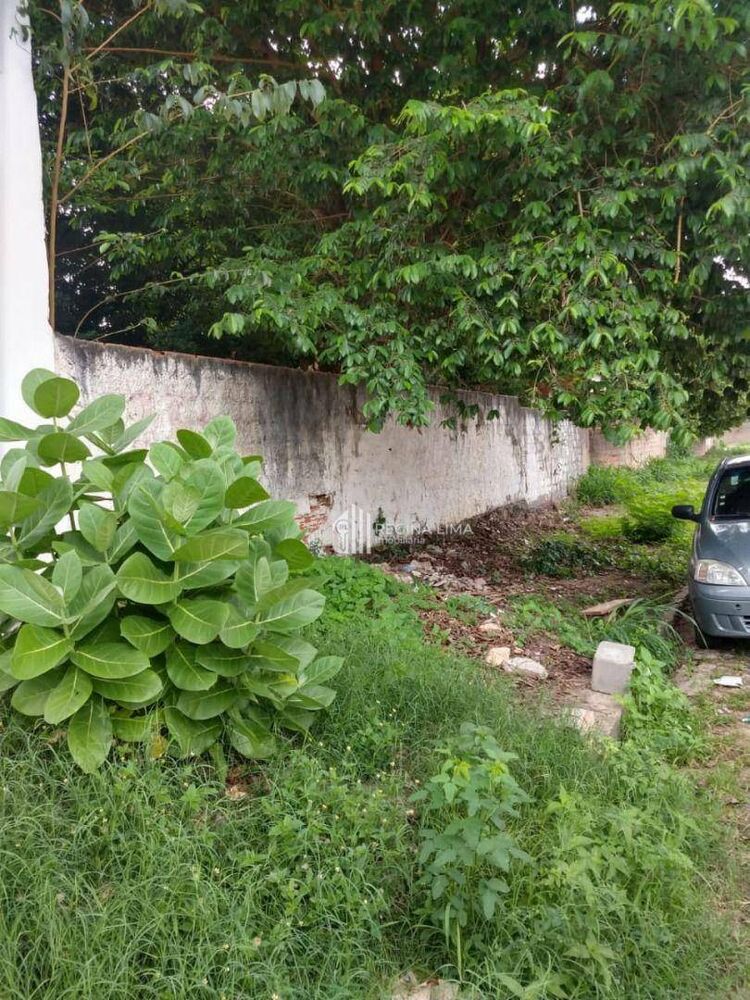 Terreno, 2 m² - Foto 6