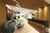 Apartamento, 2 quartos, 58 m² - Foto 4