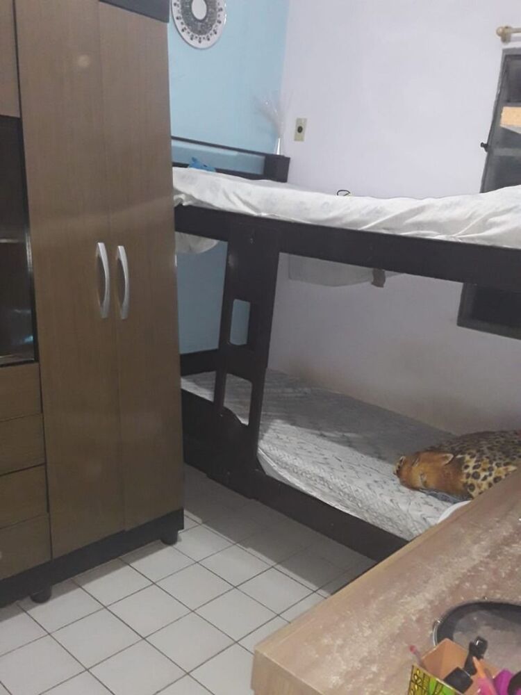 Apartamento à venda com 2 quartos - Foto 2