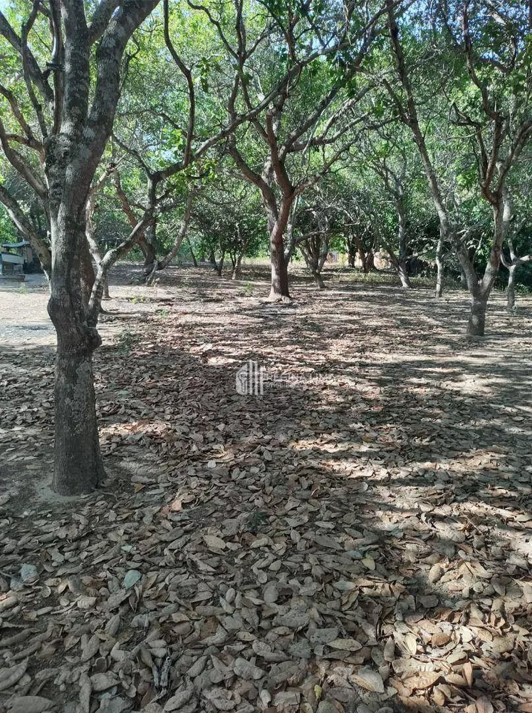 Loteamento e Condomínio, 1 hectares - Foto 8