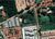 Terreno, 10000 m² - Foto 1