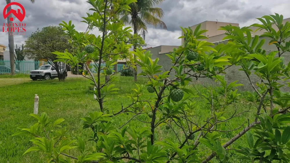 Terreno, 2500 m² - Foto 6