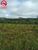 Fazenda, 120 hectares - Foto 3