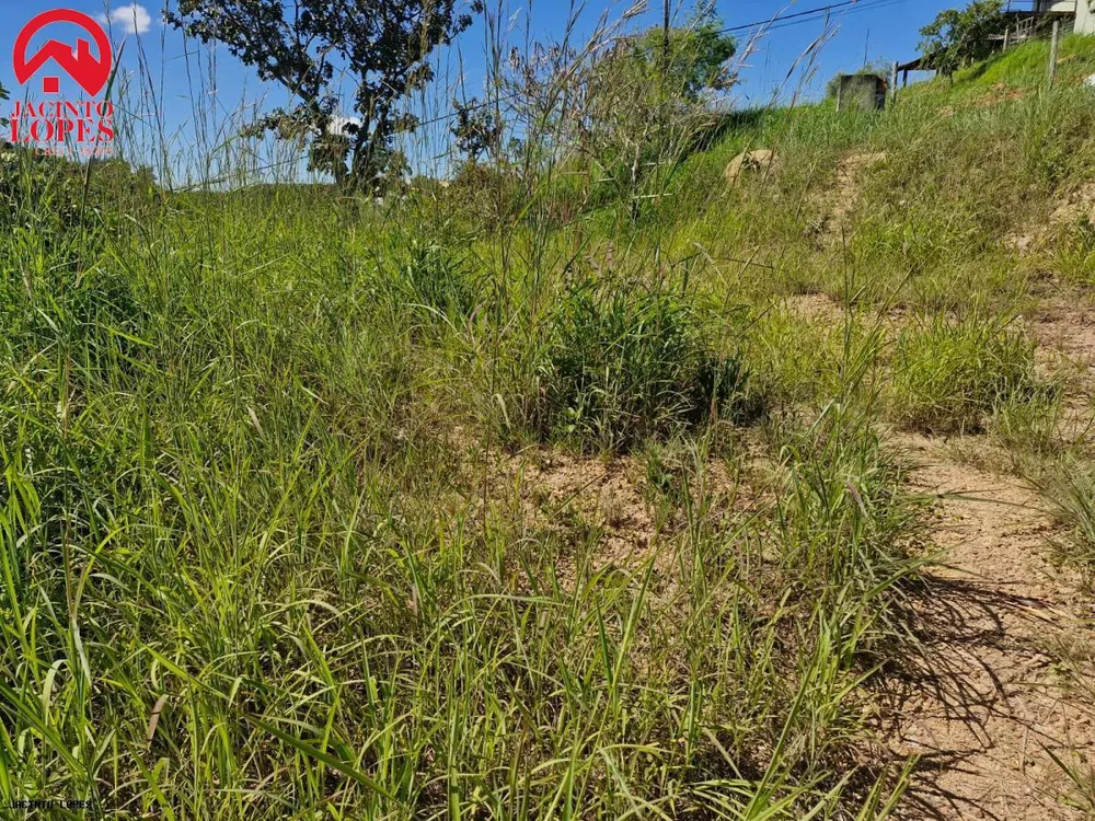 Terreno à venda, 1000m² - Foto 3