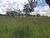 Chácara, 3 hectares - Foto 6