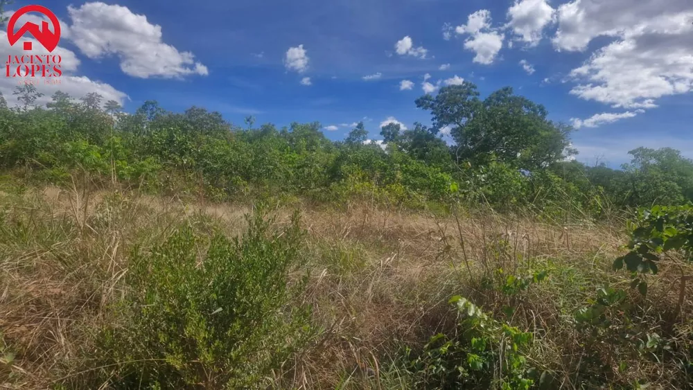 Chácara, 2 hectares - Foto 2