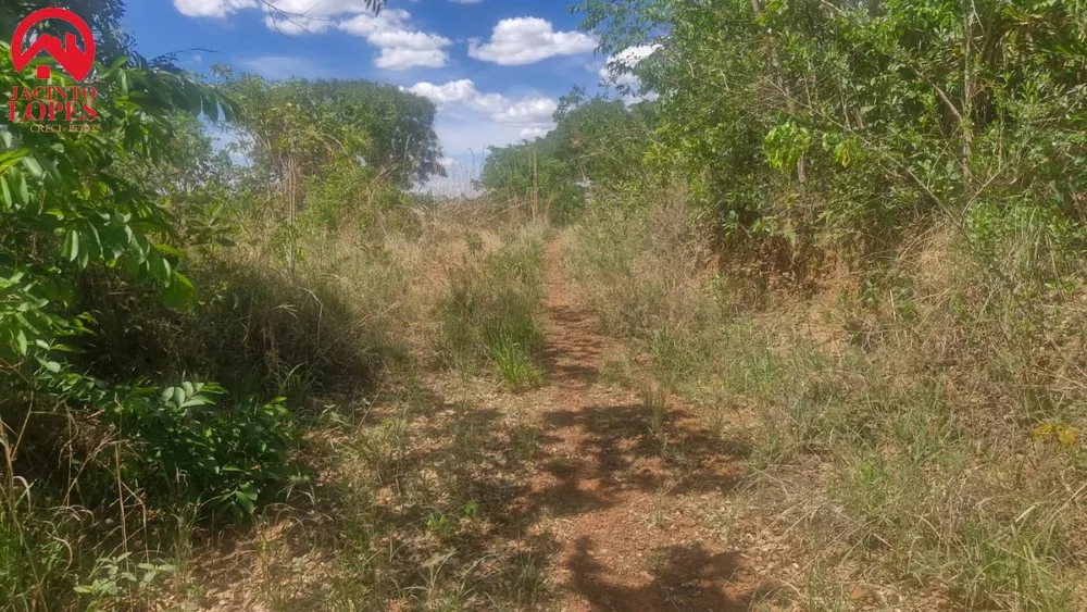 Terreno, 2 hectares - Foto 4