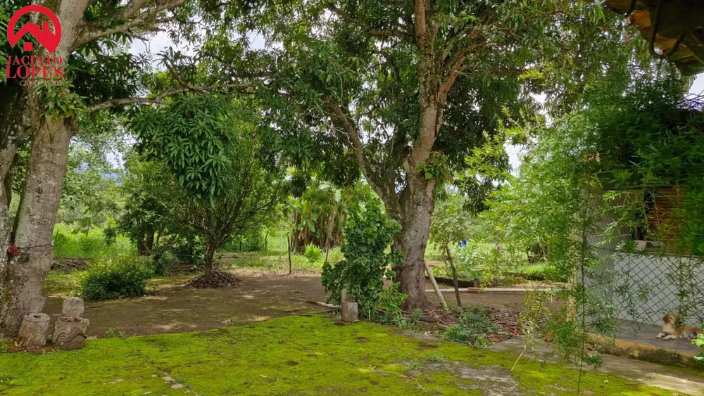 Sítio, 3 quartos, 5 hectares - Foto 3
