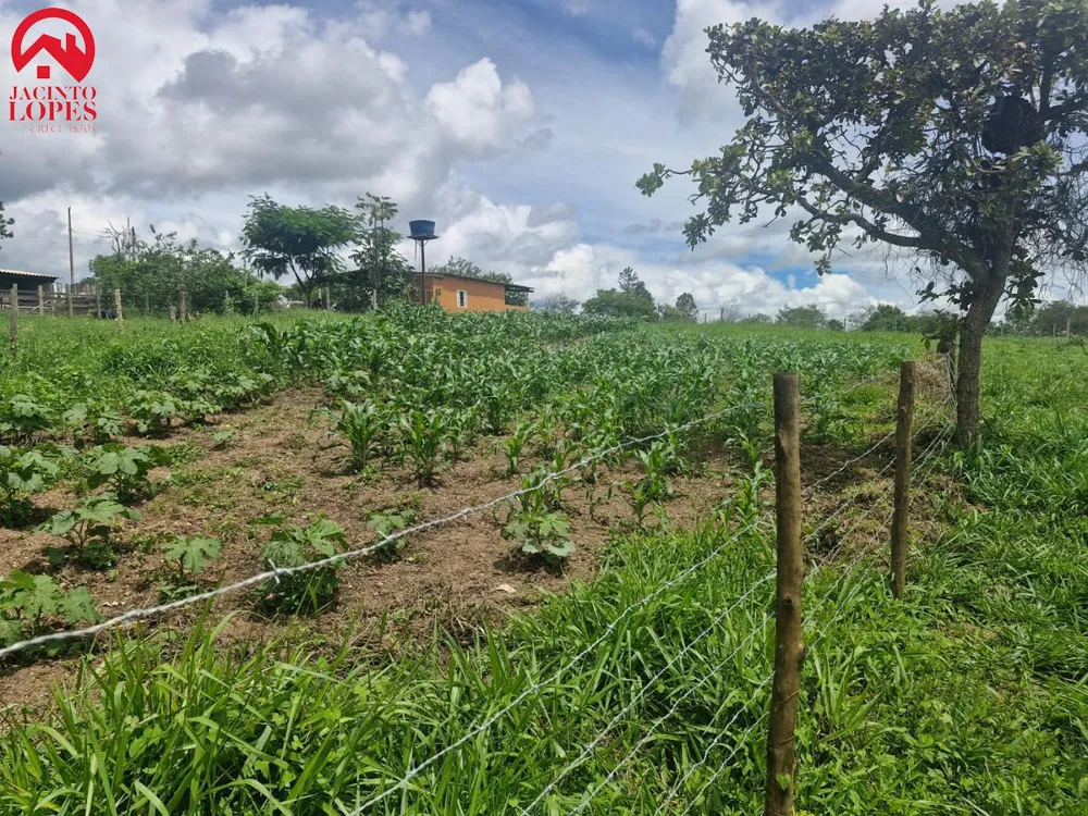Chácara, 2 quartos, 2 hectares - Foto 7