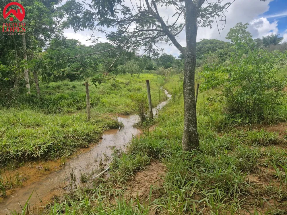 Chácara, 2 quartos, 2 hectares - Foto 6