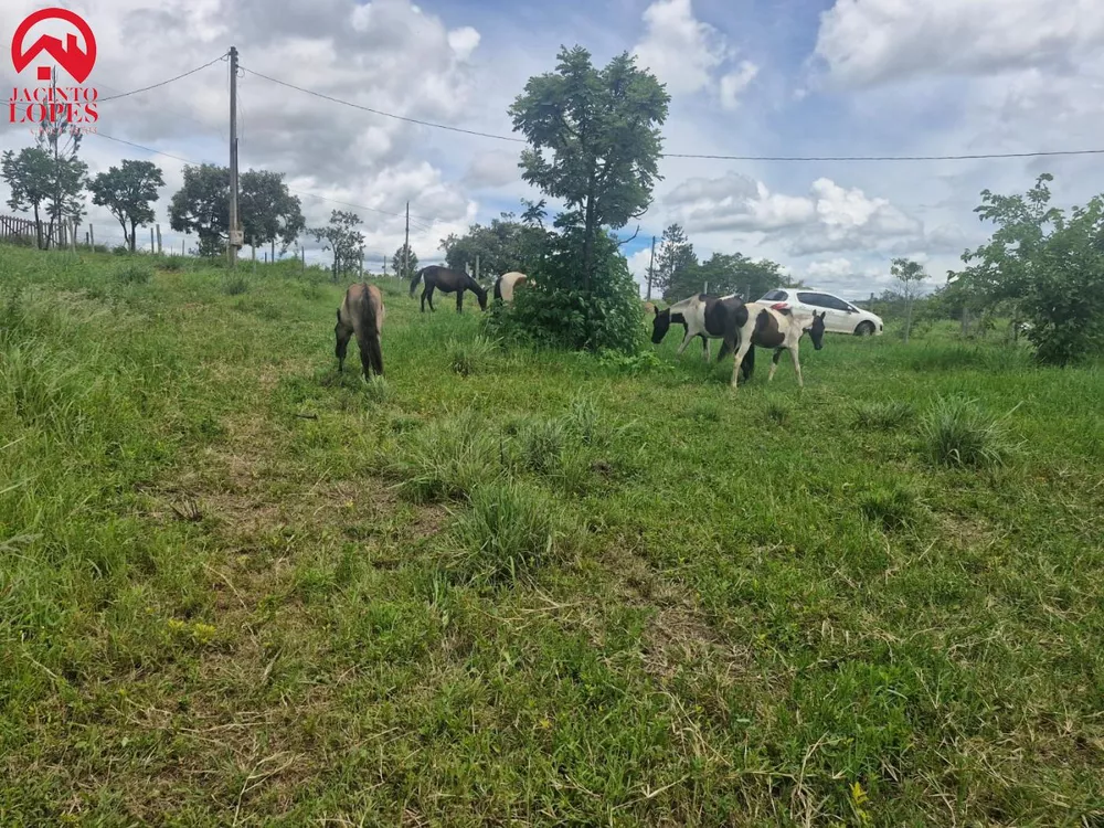 Chácara, 2 quartos, 2 hectares - Foto 4