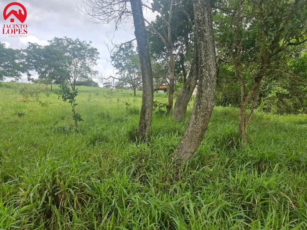 Chácara, 2 quartos, 2 hectares - Foto 13