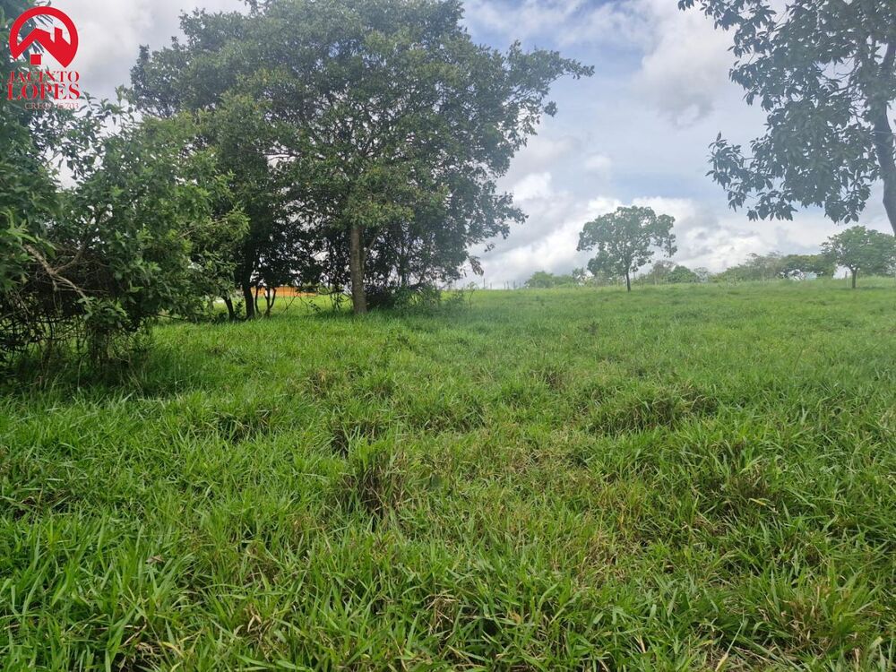 Chácara, 2 quartos, 2 hectares - Foto 5