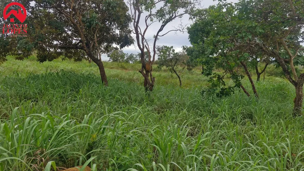 Chácara, 2 quartos, 2 hectares - Foto 7